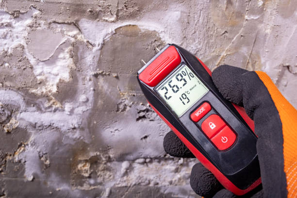 Best Localized Mold Remediation (e.g., coastal areas, humid climates) in Petersburg, IN